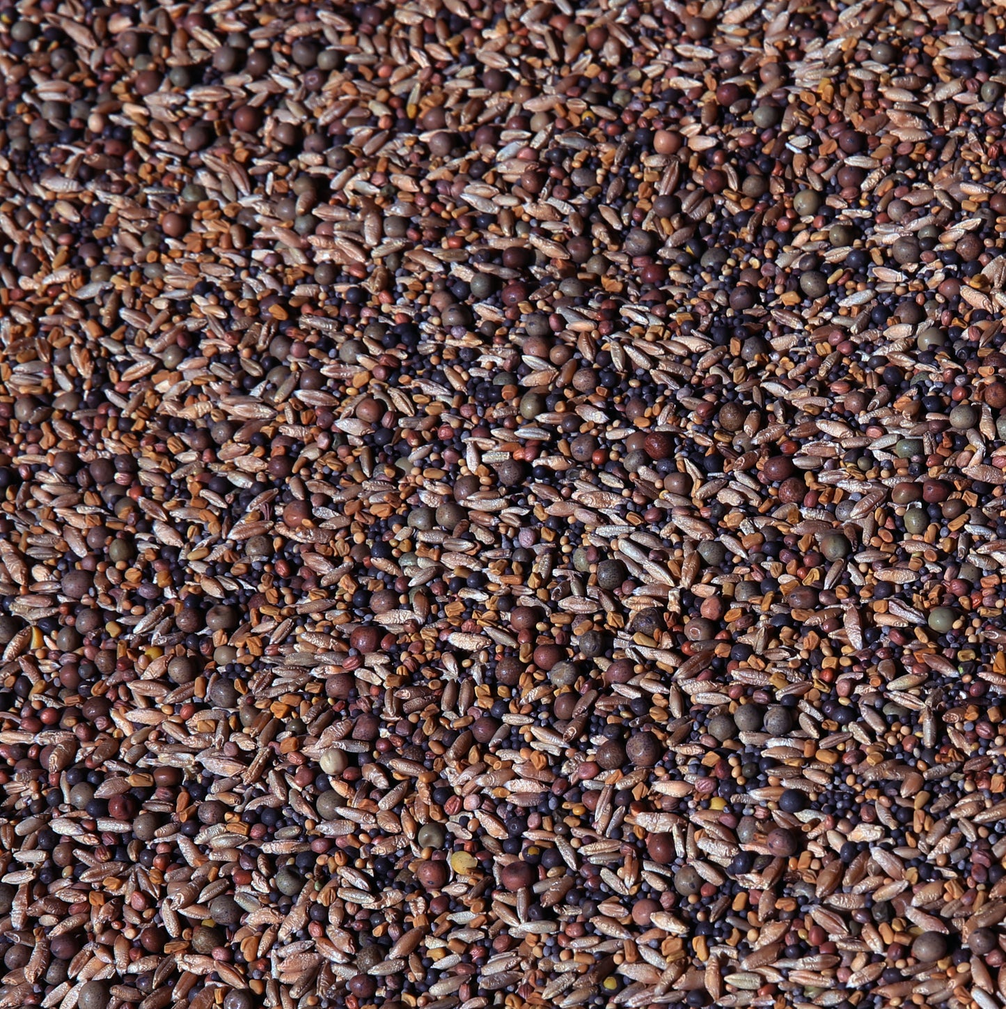 No-Till OverWinter Cover Crop 10-Seed Mix