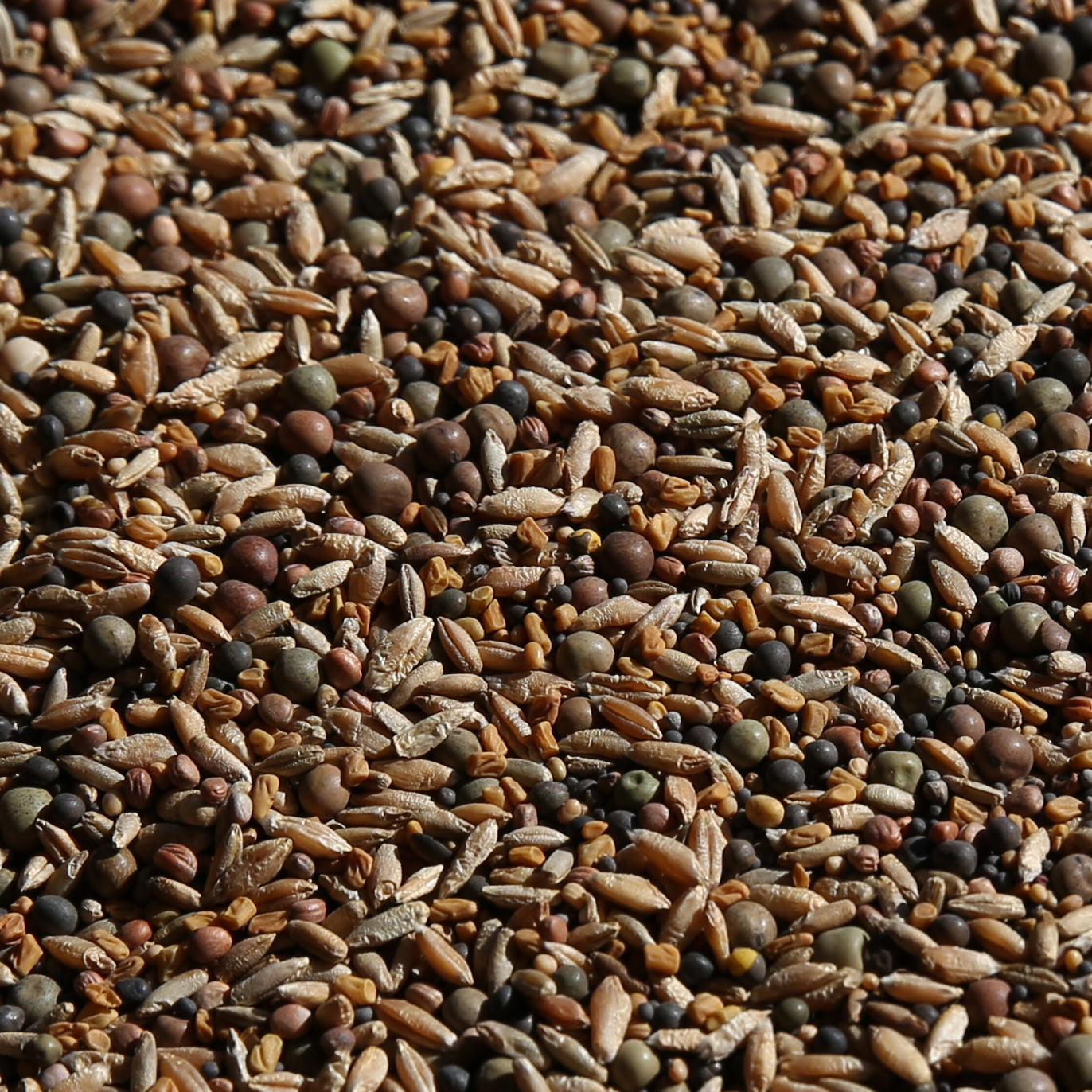 no-till farm and garden cover crop mix seeds No-Till OverWinter Cover Crop 10-Seed Mix – No-Till Solutions