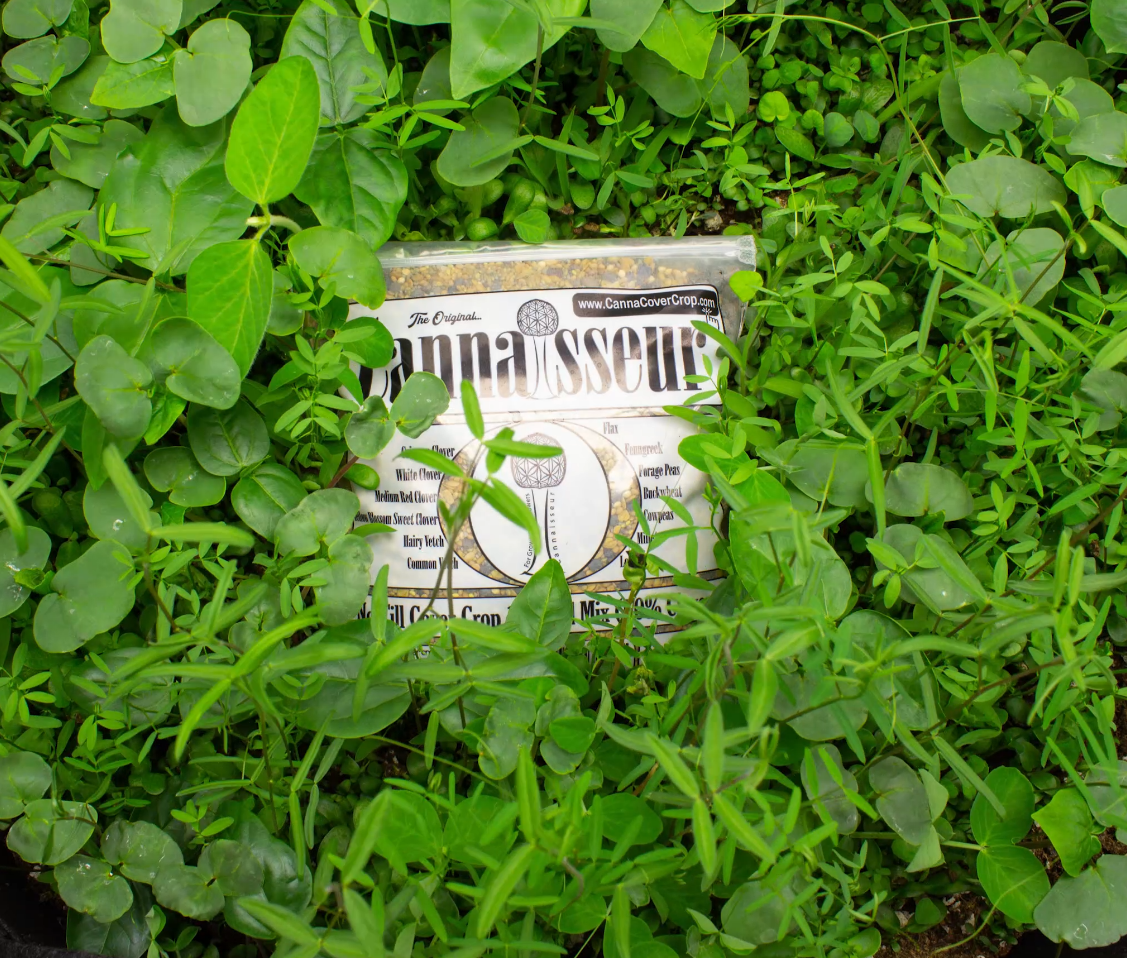 No-Till Cover Crop 13-Seed Mix [50% Clovers + MORE]