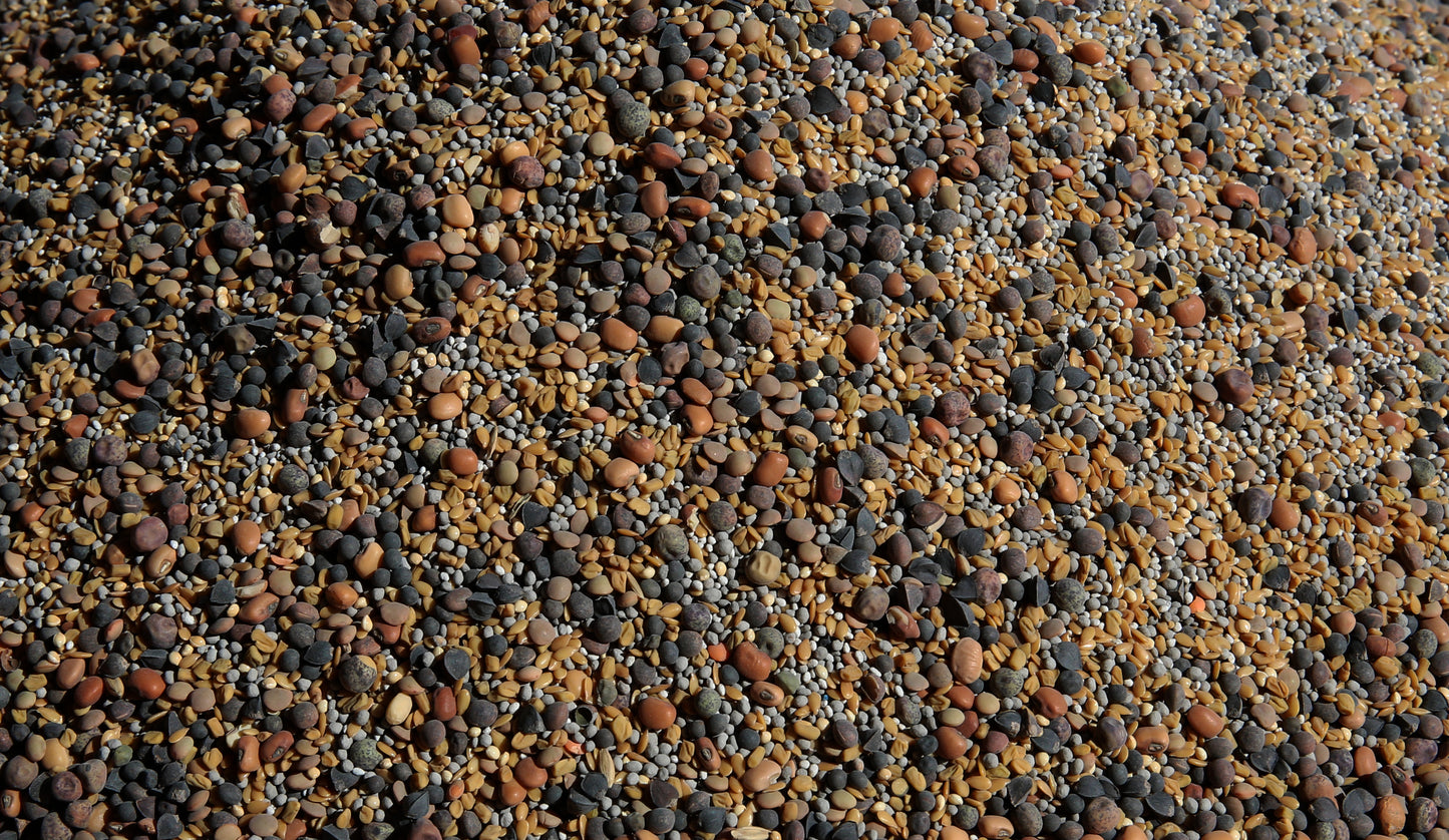 No-Till Cover Crop 13-Seed Mix [50% Clovers + MORE]