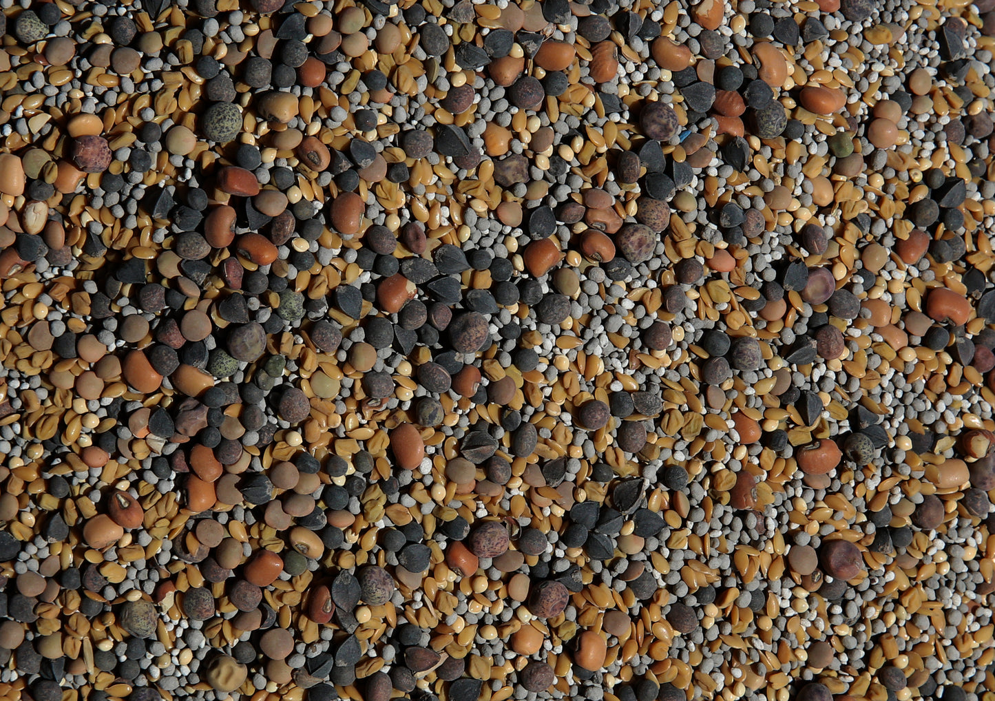 No-Till Cover Crop 13-Seed Mix [50% Clovers + MORE]