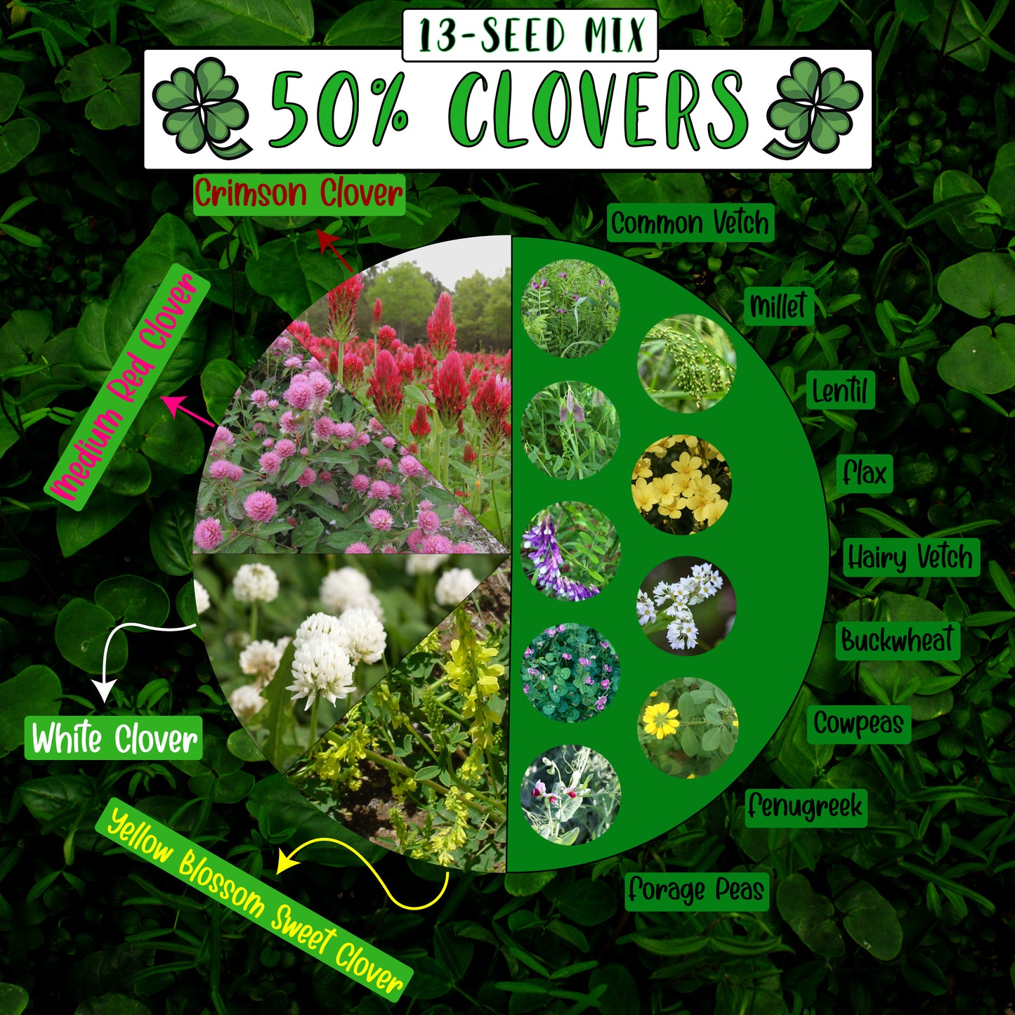 No-Till Cover Crop 13-Seed Mix [50% Clovers + MORE]