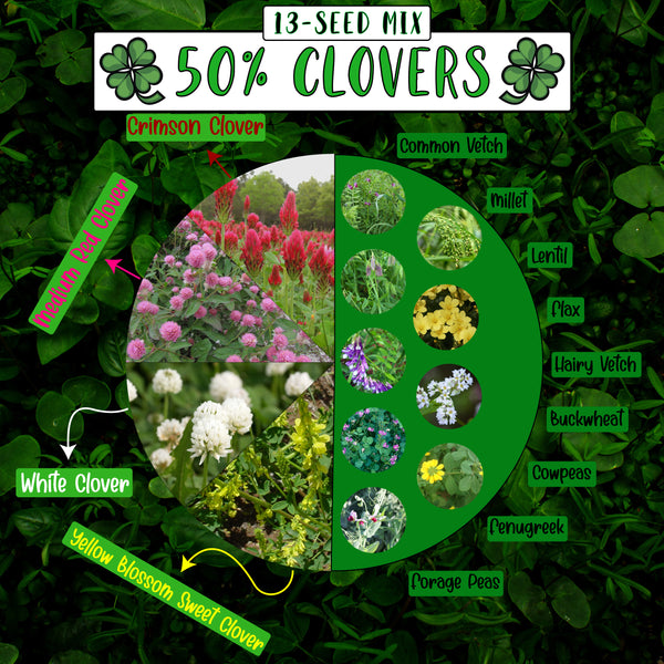 No-Till Cover Crop 13-Seed Mix (50% Clovers + MORE) [½-lb. Bag]