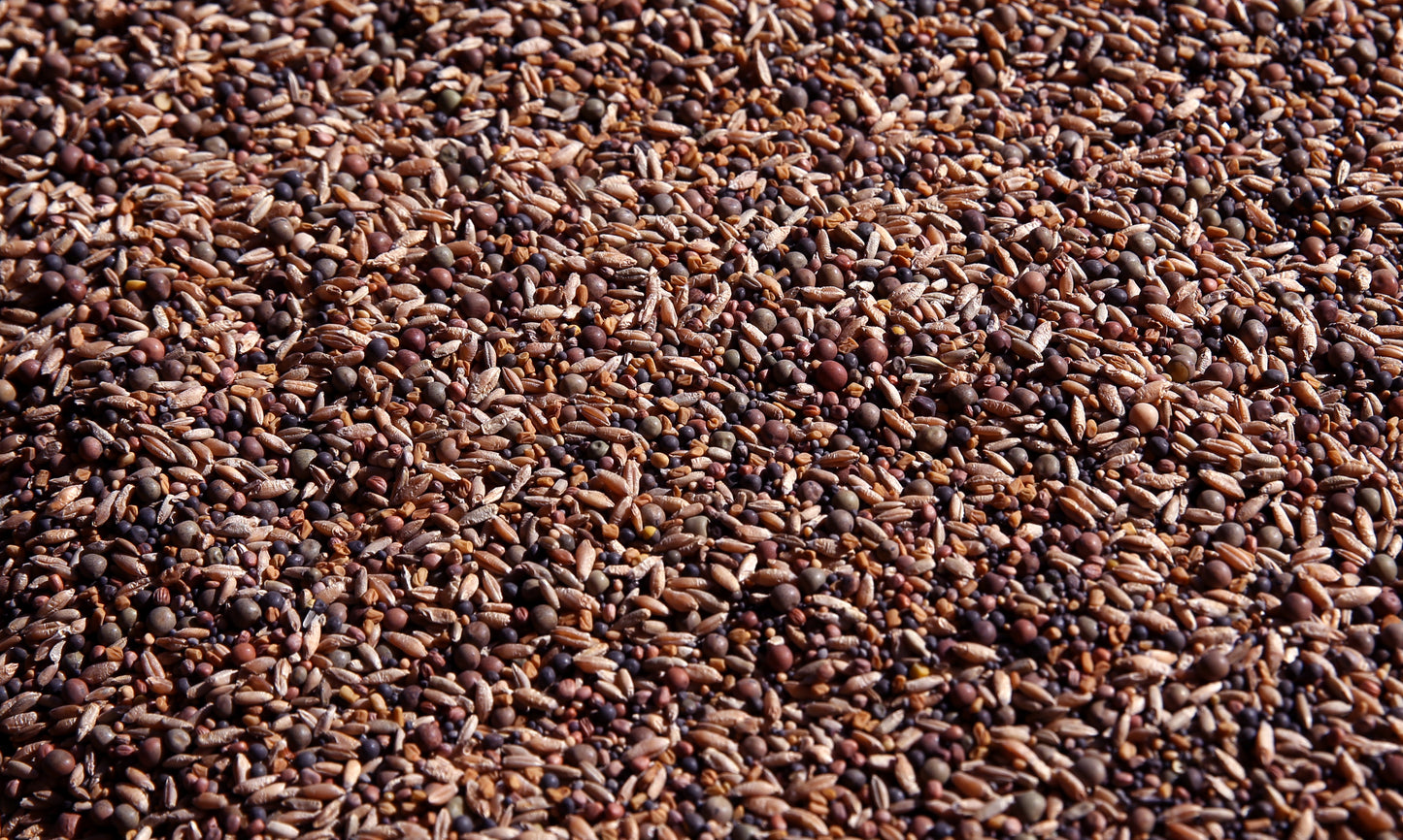 No-Till OverWinter Cover Crop 10-Seed Mix