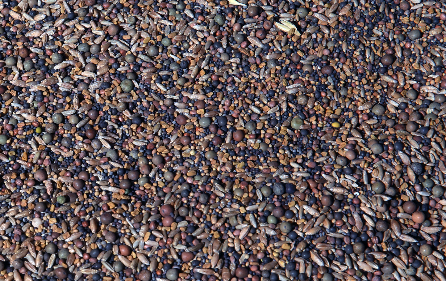 No-Till OverWinter Cover Crop 10-Seed Mix