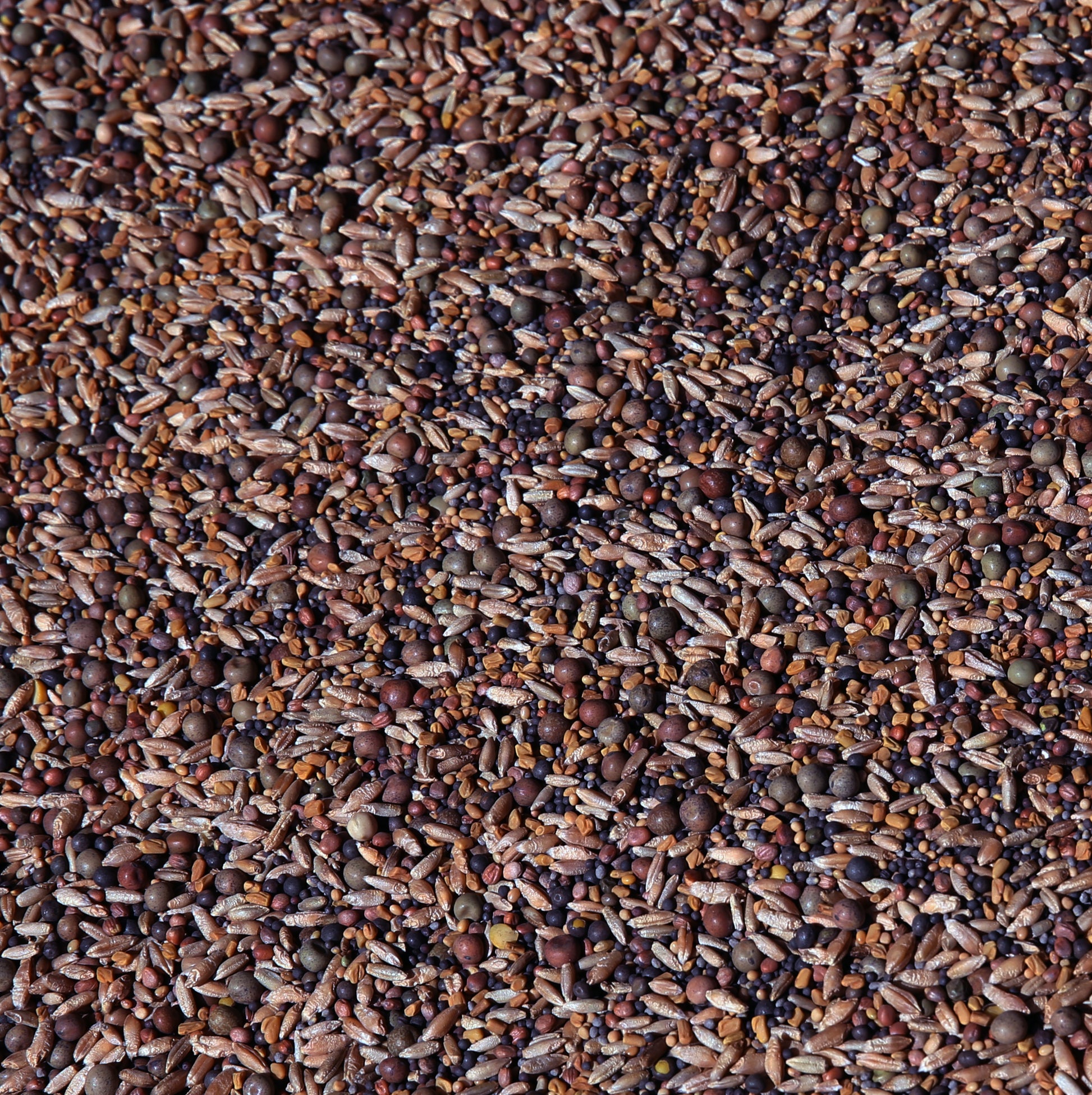 no-till farm and garden cover crop mix seeds No-Till OverWinter Cover Crop 10-Seed Mix – No-Till Solutions