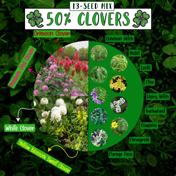 No-Till Cover Crop 13-Seed Mix [50% Clovers + MORE] (45-lb. Bag)